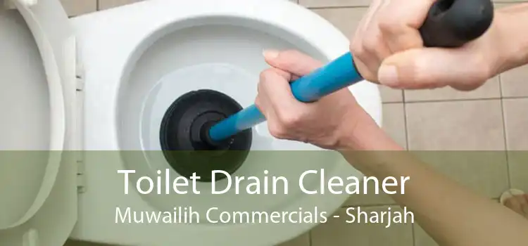 Toilet Drain Cleaner Muwailih Commercials - Sharjah