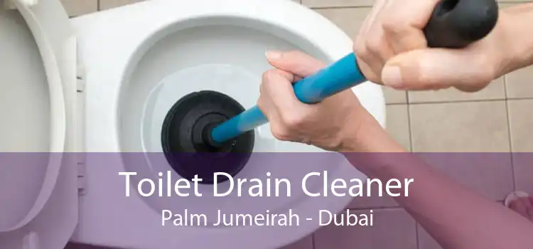 Toilet Drain Cleaner Palm Jumeirah - Dubai