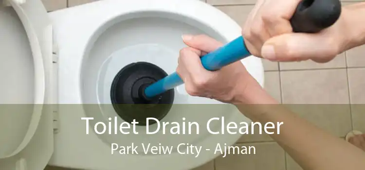 Toilet Drain Cleaner Park Veiw City - Ajman