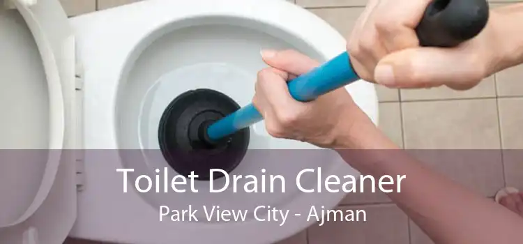 Toilet Drain Cleaner Park View City - Ajman