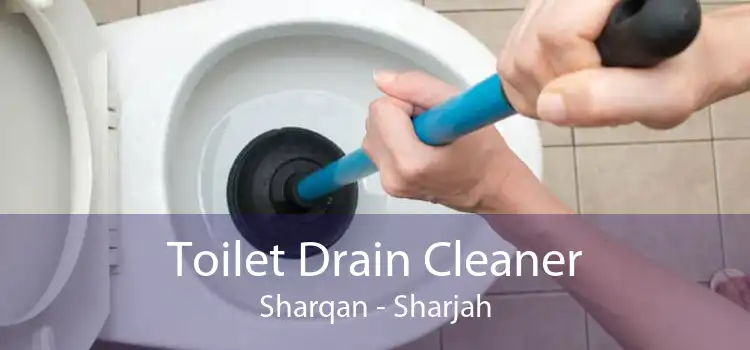 Toilet Drain Cleaner Sharqan - Sharjah
