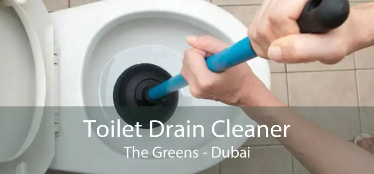 Toilet Drain Cleaner The Greens - Dubai