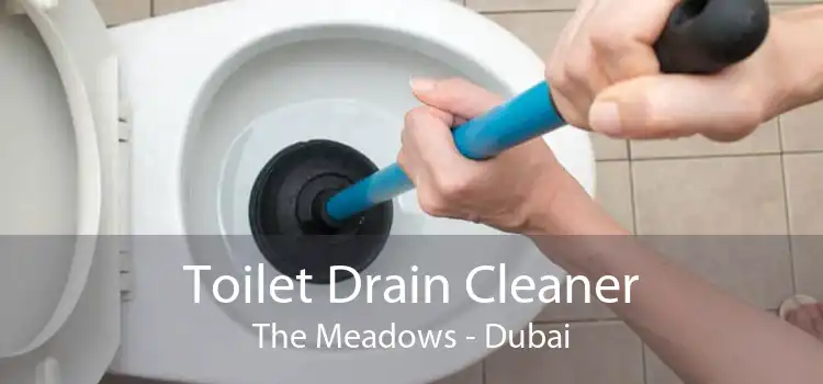 Toilet Drain Cleaner The Meadows - Dubai