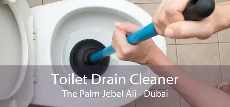 Toilet Drain Cleaner The Palm Jebel Ali - Dubai