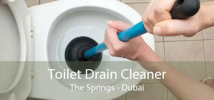 Toilet Drain Cleaner The Springs - Dubai