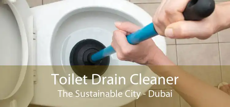 Toilet Drain Cleaner The Sustainable City - Dubai