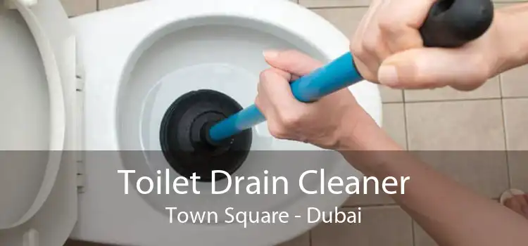 Toilet Drain Cleaner Town Square - Dubai
