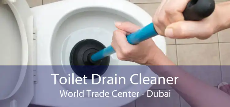 Toilet Drain Cleaner World Trade Center - Dubai