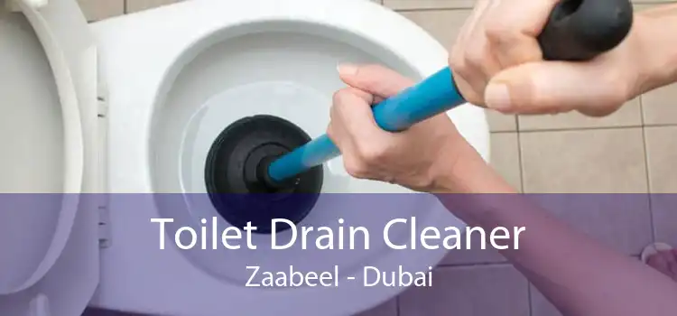 Toilet Drain Cleaner Zaabeel - Dubai