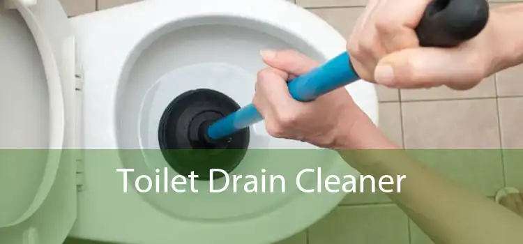 Toilet Drain Cleaner 
