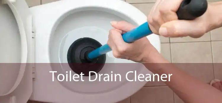 Toilet Drain Cleaner 