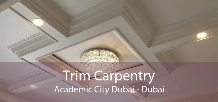 Trim Carpentry Academic City Dubai - Dubai