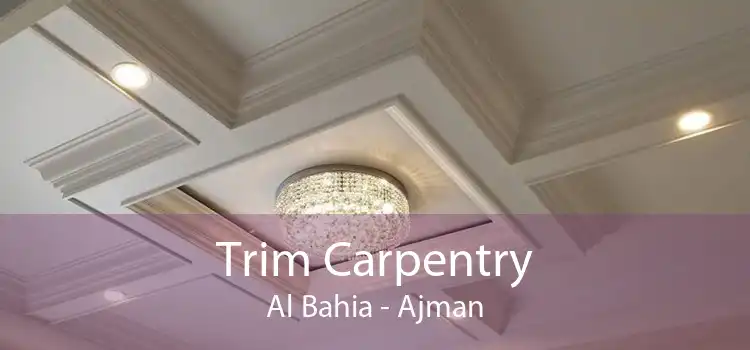 Trim Carpentry Al Bahia - Ajman