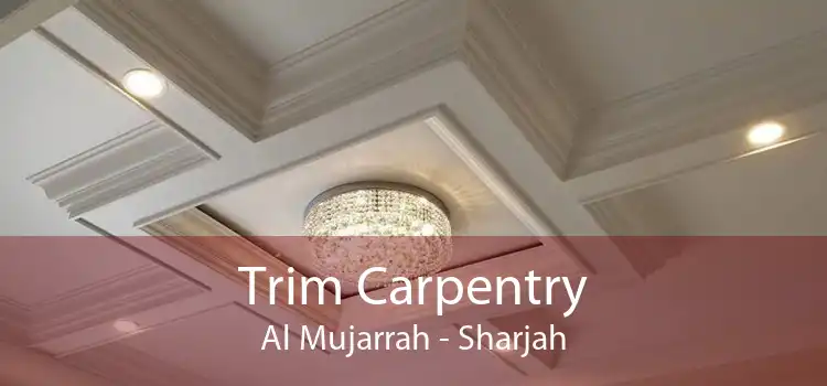 Trim Carpentry Al Mujarrah - Sharjah