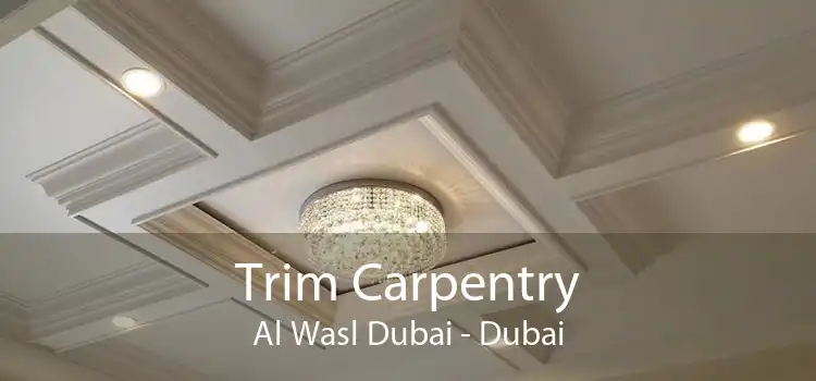 Trim Carpentry Al Wasl Dubai - Dubai