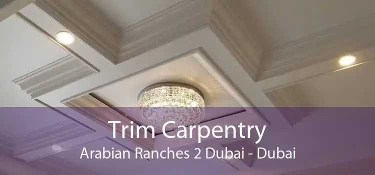 Trim Carpentry Arabian Ranches 2 Dubai - Dubai