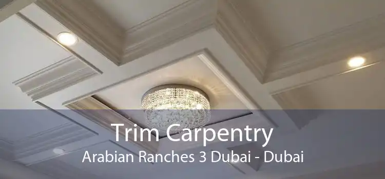 Trim Carpentry Arabian Ranches 3 Dubai - Dubai