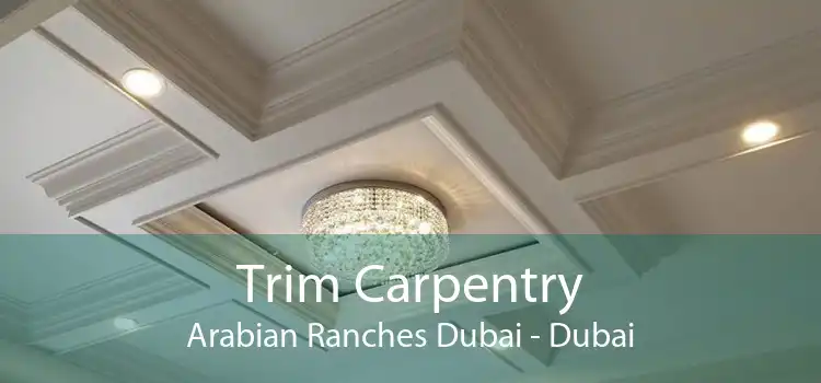 Trim Carpentry Arabian Ranches Dubai - Dubai