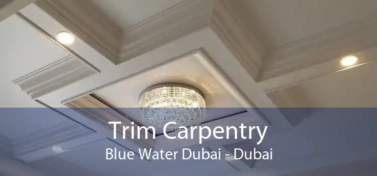 Trim Carpentry Blue Water Dubai - Dubai