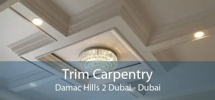 Trim Carpentry Damac Hills 2 Dubai - Dubai