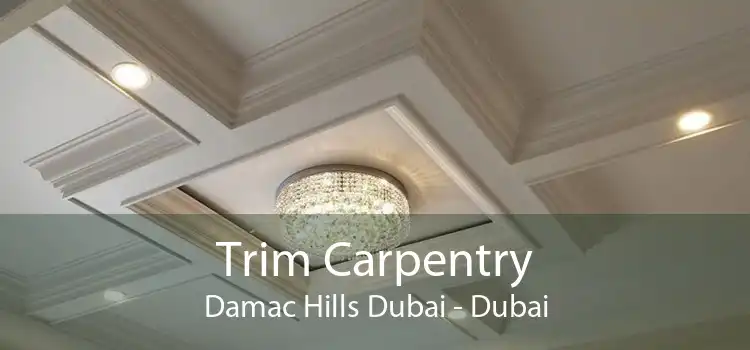 Trim Carpentry Damac Hills Dubai - Dubai