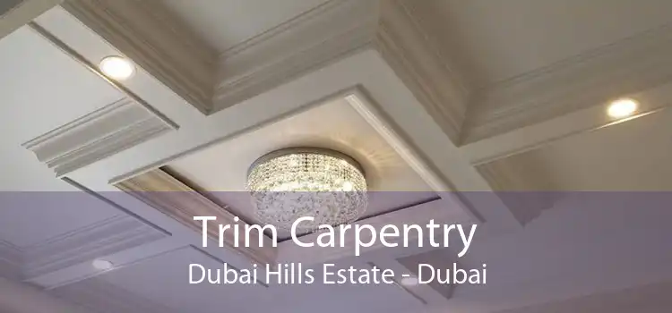 Trim Carpentry Dubai Hills Estate - Dubai