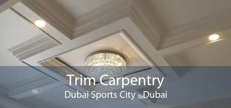 Trim Carpentry Dubai Sports City - Dubai