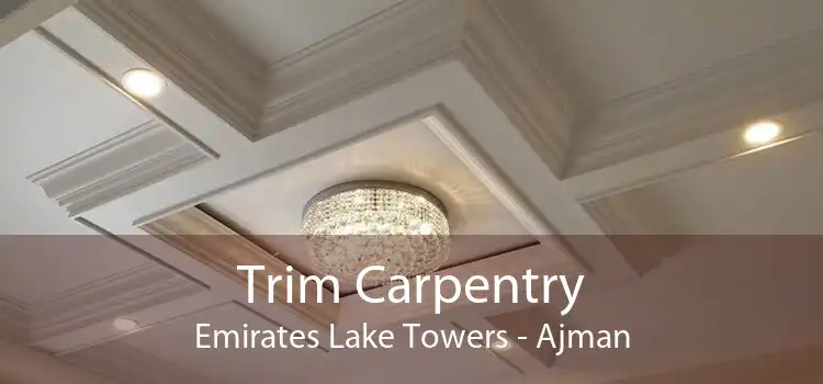 Trim Carpentry Emirates Lake Towers - Ajman
