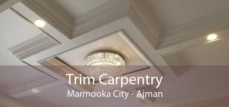 Trim Carpentry Marmooka City - Ajman