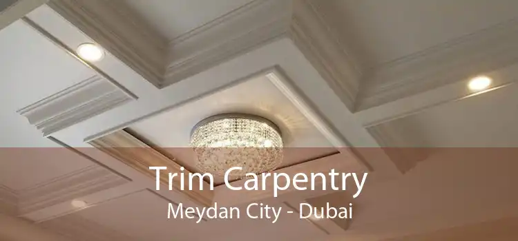 Trim Carpentry Meydan City - Dubai