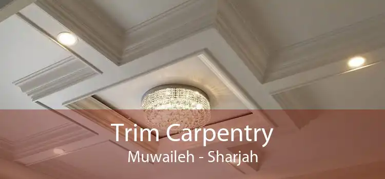 Trim Carpentry Muwaileh - Sharjah