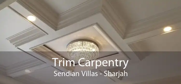 Trim Carpentry Sendian Villas - Sharjah