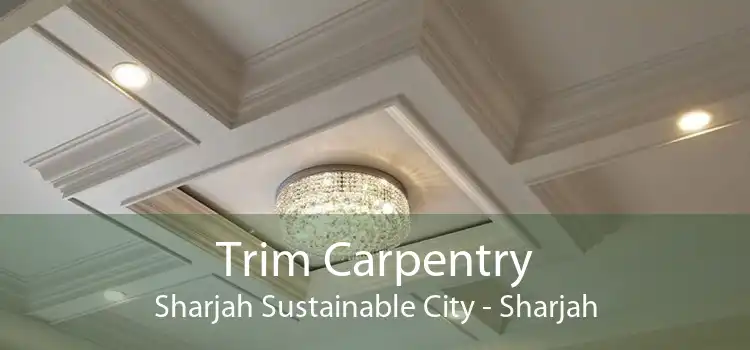 Trim Carpentry Sharjah Sustainable City - Sharjah