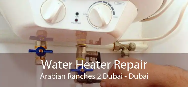 Water Heater Repair Arabian Ranches 2 Dubai - Dubai