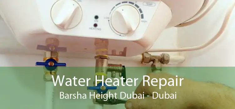 Water Heater Repair Barsha Height Dubai - Dubai