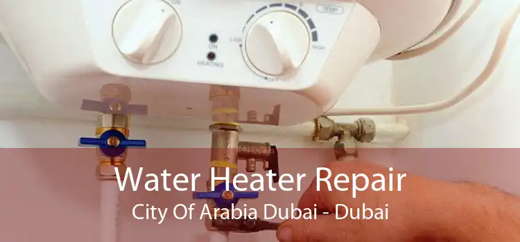 Water Heater Repair City Of Arabia Dubai - Dubai