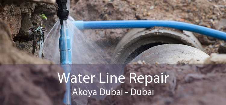 Water Line Repair Akoya Dubai - Dubai