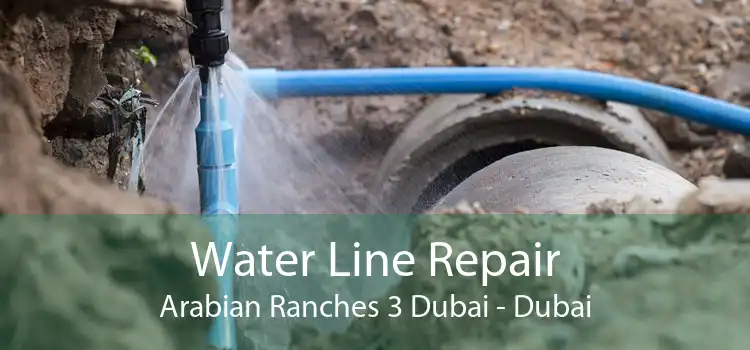 Water Line Repair Arabian Ranches 3 Dubai - Dubai
