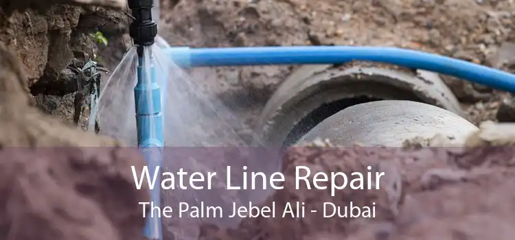 Water Line Repair The Palm Jebel Ali - Dubai