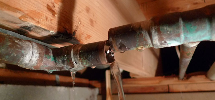 Fix Leaking Pipe in Al Barari Villas, DXB