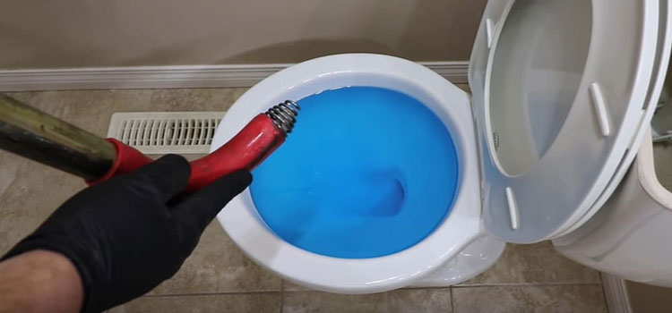 Home Toilet Drain Cleaner