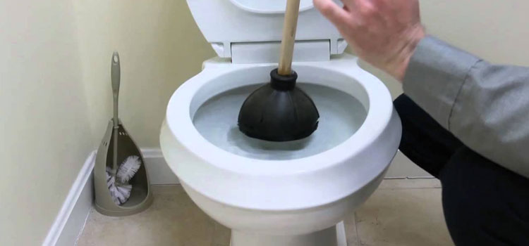 Best Toilet Drain Cleaner in Arabian Ranches 3 Dubai